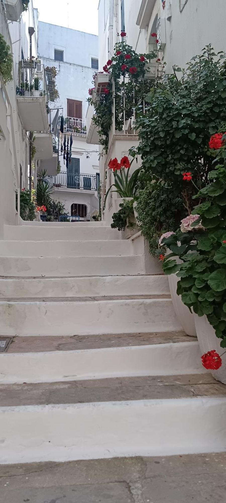 La Chicca Di C.Cavour Hotel Ostuni Exterior foto