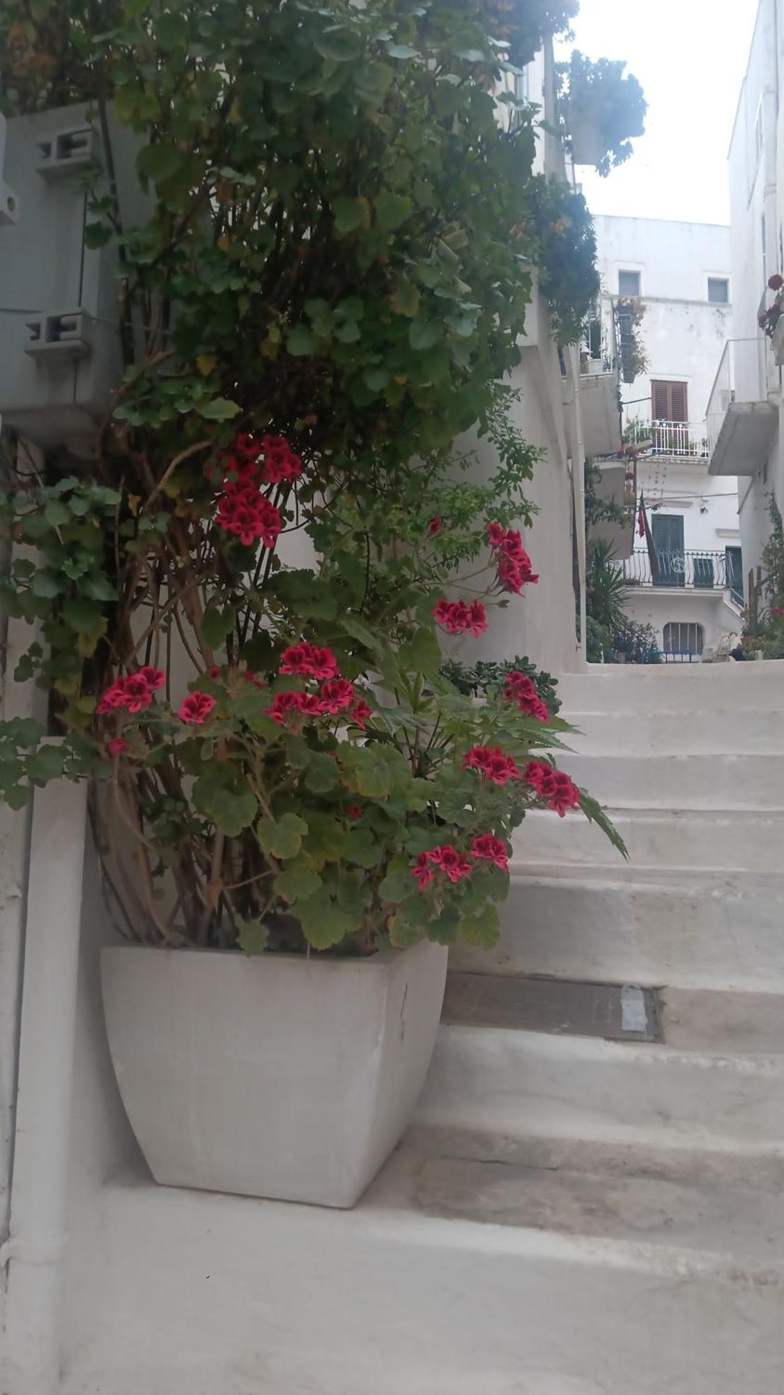 La Chicca Di C.Cavour Hotel Ostuni Exterior foto